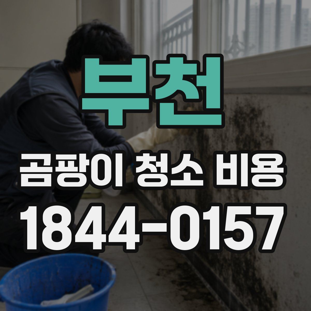 부천 곰팡이 청소 비용