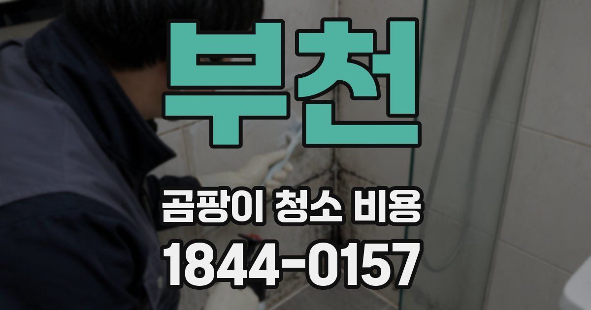 부천 곰팡이 청소 비용