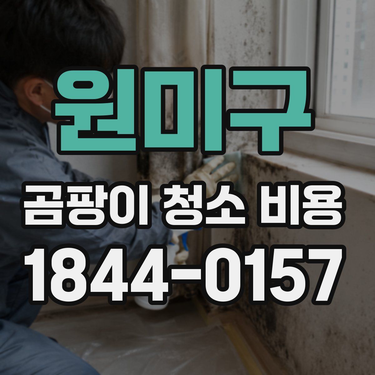 원미구 곰팡이 청소 비용