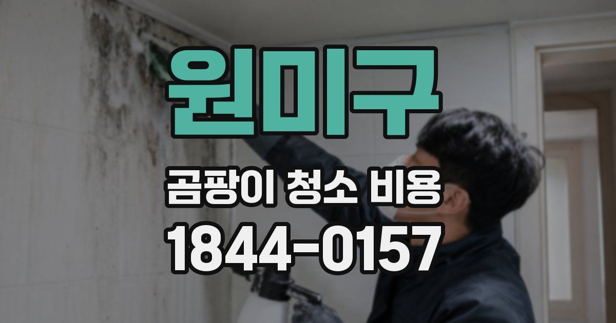 원미구 곰팡이 청소 비용