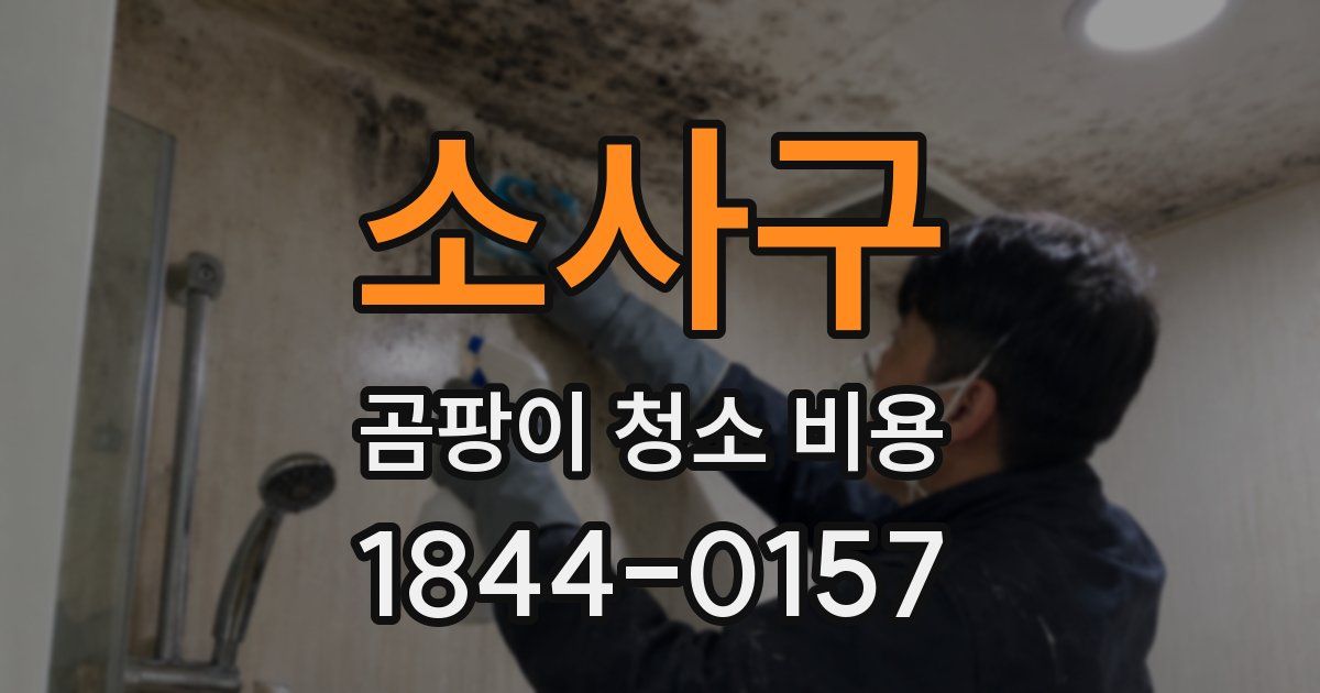 소사구 곰팡이 청소 비용