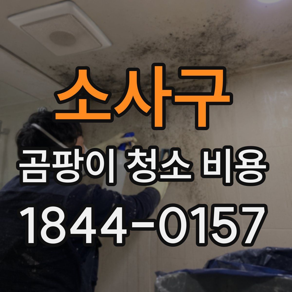 소사구 곰팡이 청소 비용