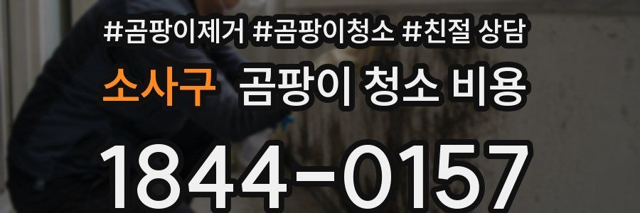 소사구 곰팡이 청소 비용