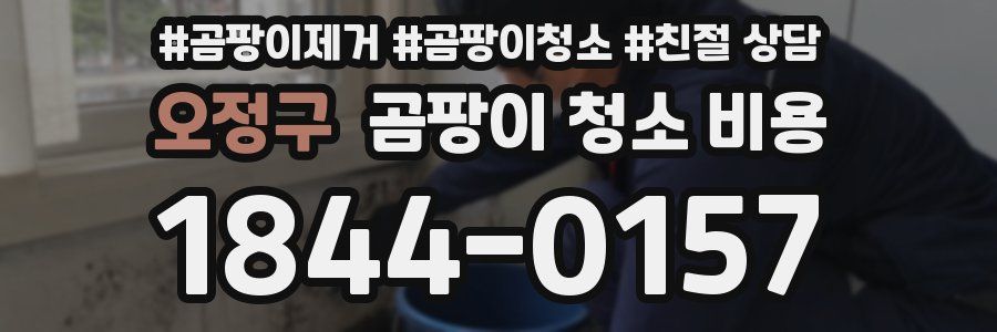 오정구 곰팡이 청소 비용