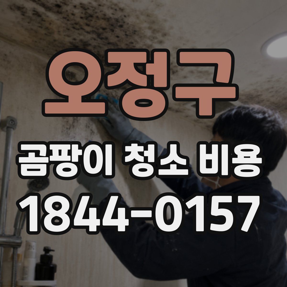 오정구 곰팡이 청소 비용