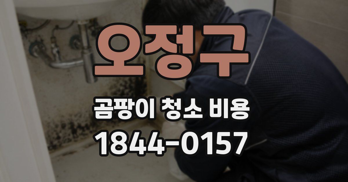 오정구 곰팡이 청소 비용