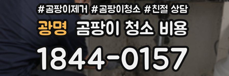 광명 곰팡이 청소 비용