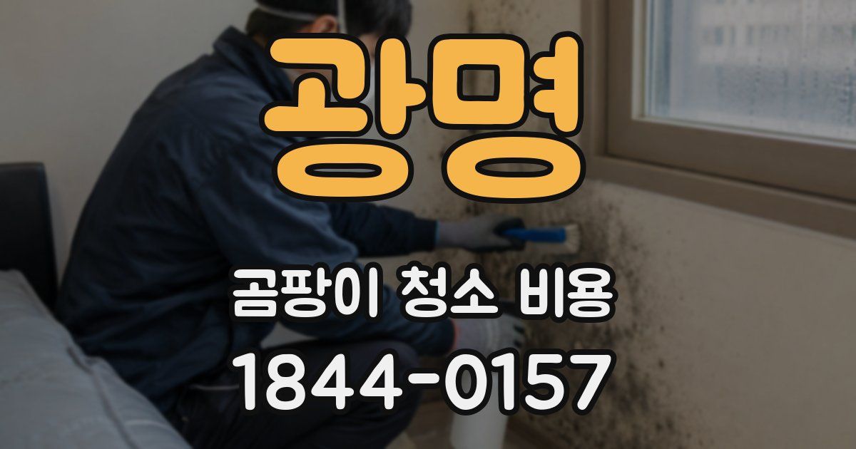 광명 곰팡이 청소 비용