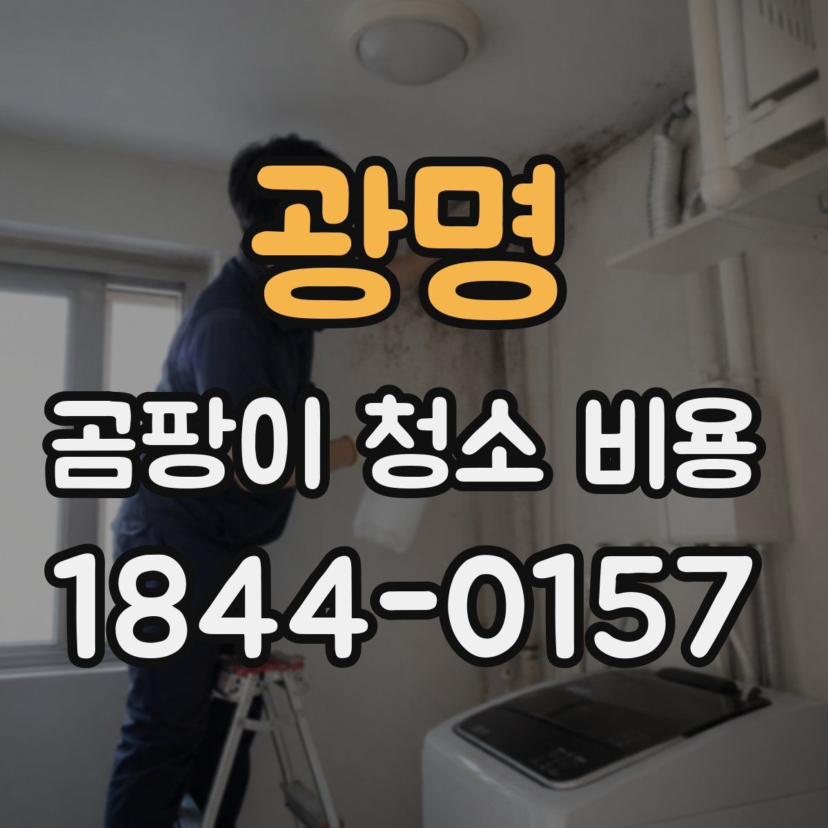 광명 곰팡이 청소 비용