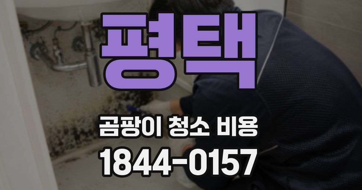 평택 곰팡이 청소 비용