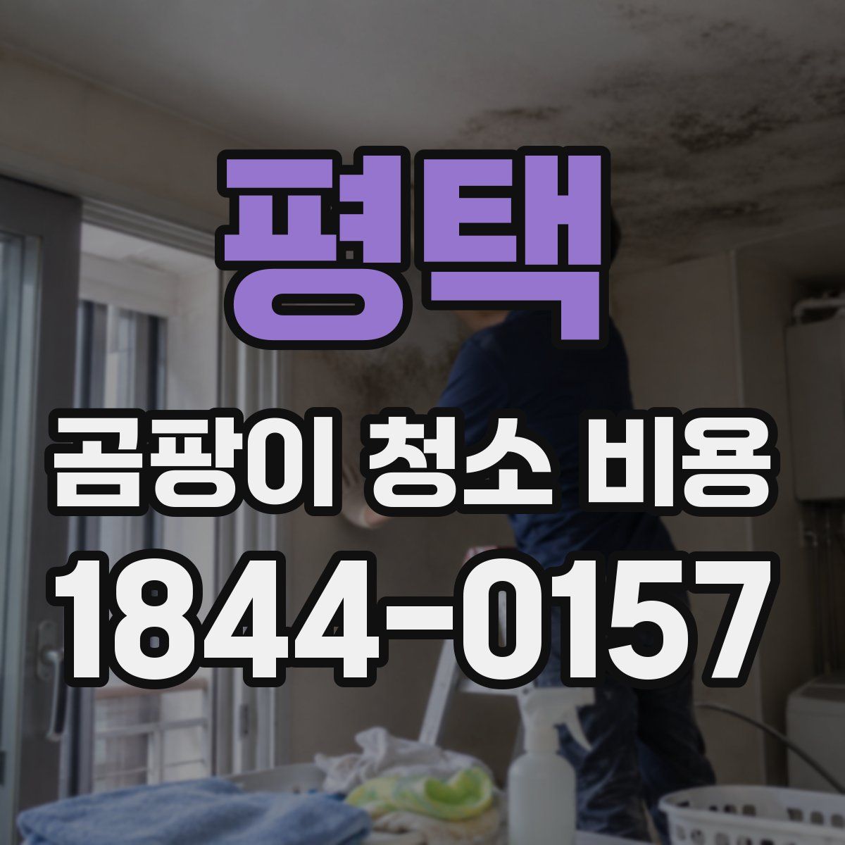 평택 곰팡이 청소 비용