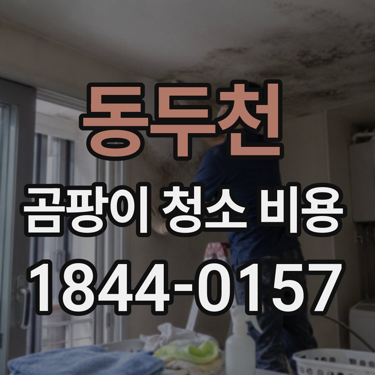 동두천 곰팡이 청소 비용