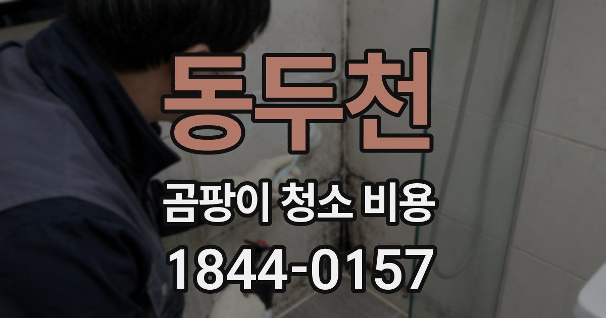 동두천 곰팡이 청소 비용
