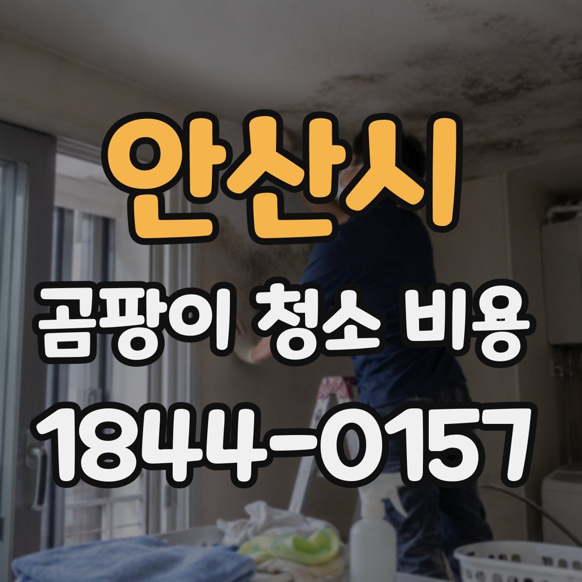 안산시 곰팡이 청소 비용