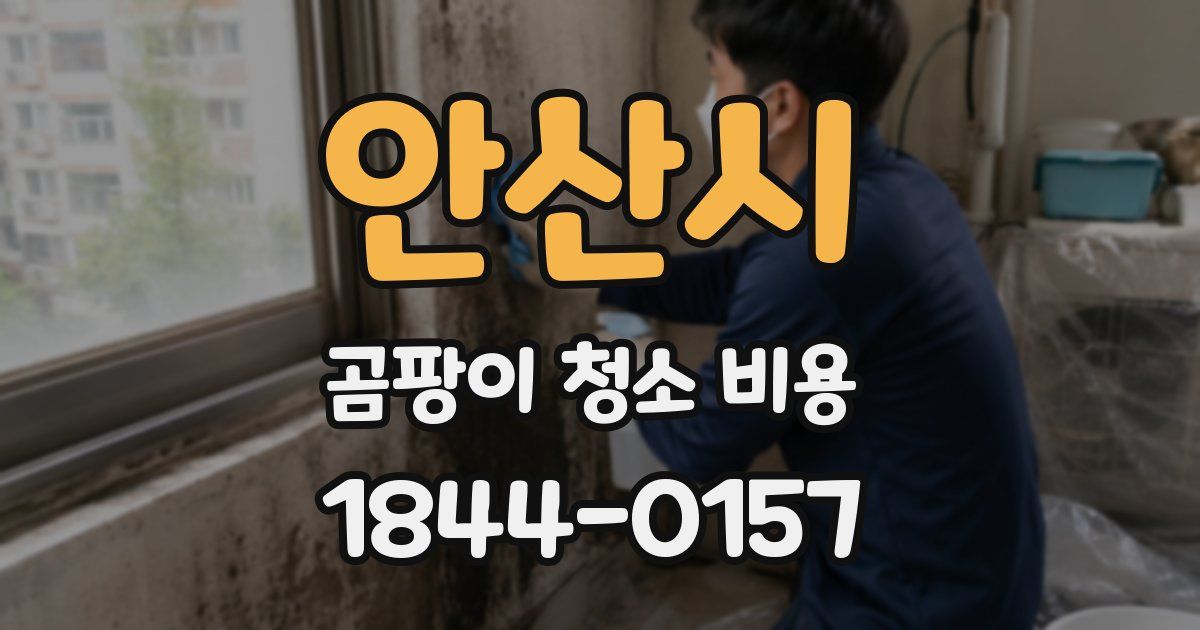 안산시 곰팡이 청소 비용
