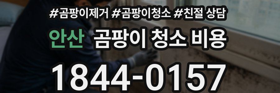 안산 곰팡이 청소 비용