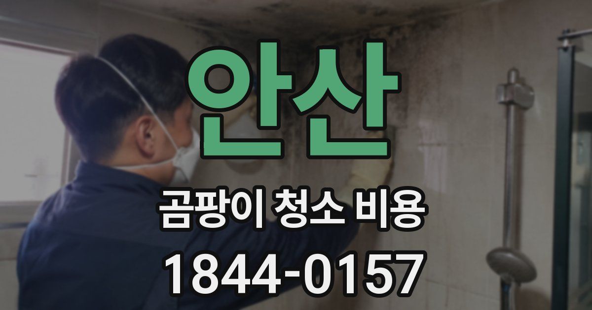 안산 곰팡이 청소 비용