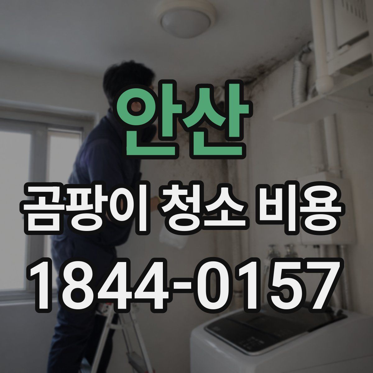 안산 곰팡이 청소 비용