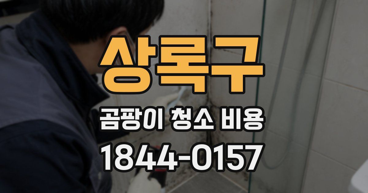 상록구 곰팡이 청소 비용