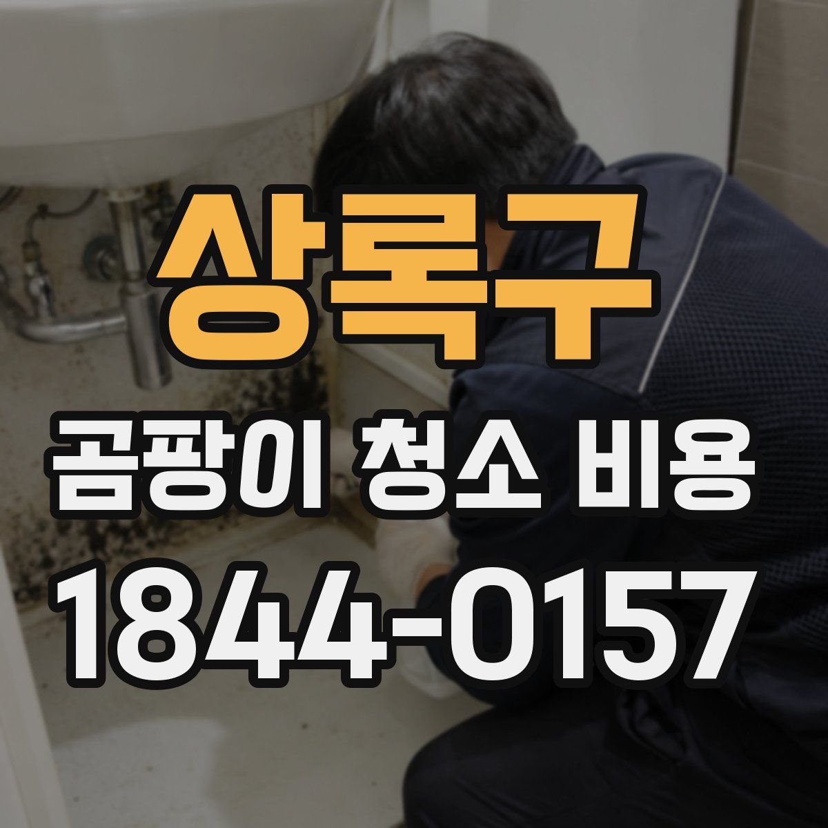 상록구 곰팡이 청소 비용