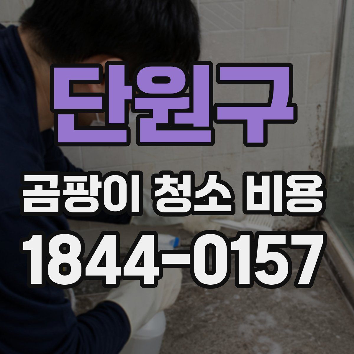 단원구 곰팡이 청소 비용