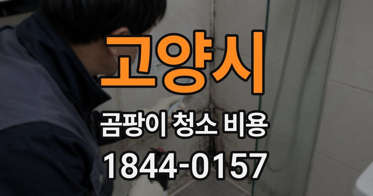 고양시 곰팡이 청소 비용