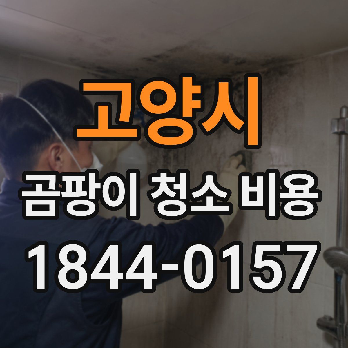 고양시 곰팡이 청소 비용