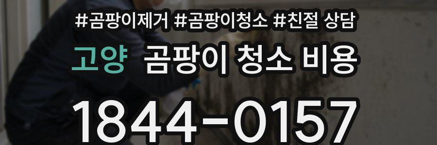 고양 곰팡이 청소 비용