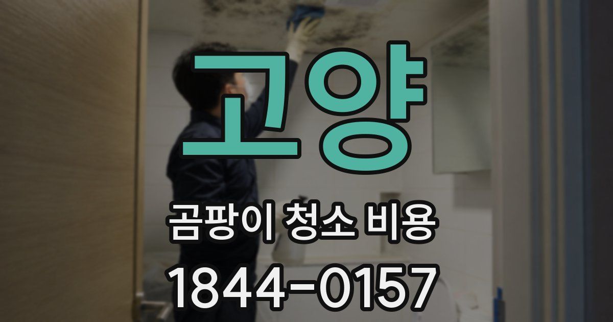 고양 곰팡이 청소 비용