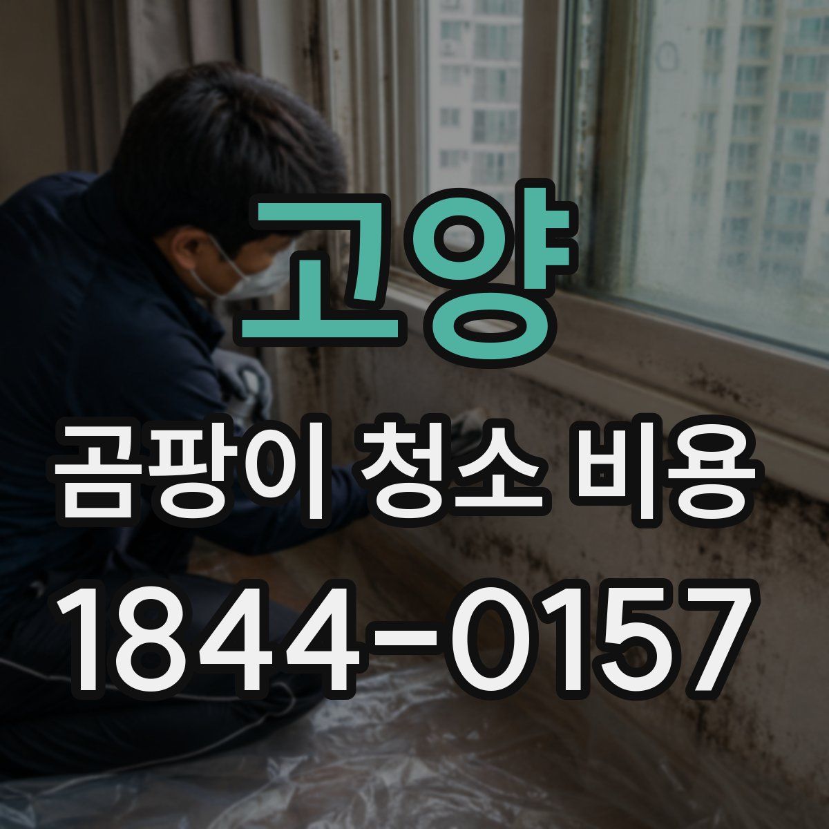 고양 곰팡이 청소 비용