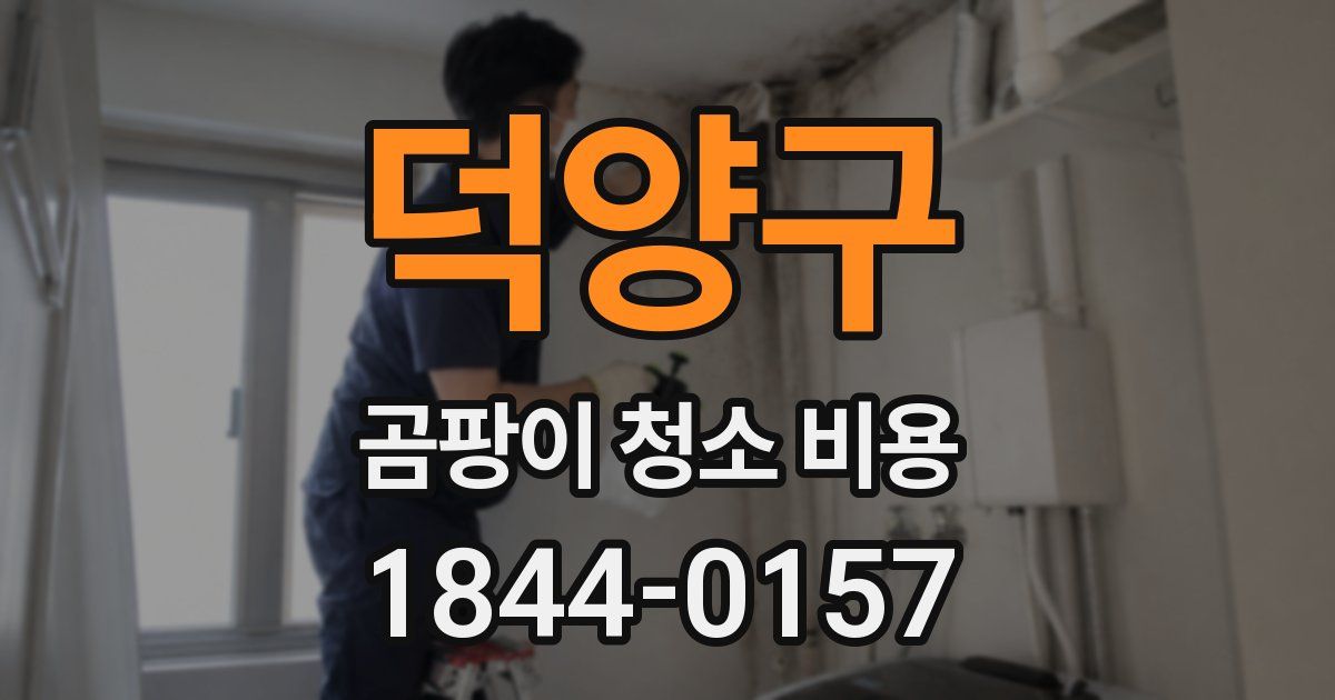 덕양구 곰팡이 청소 비용