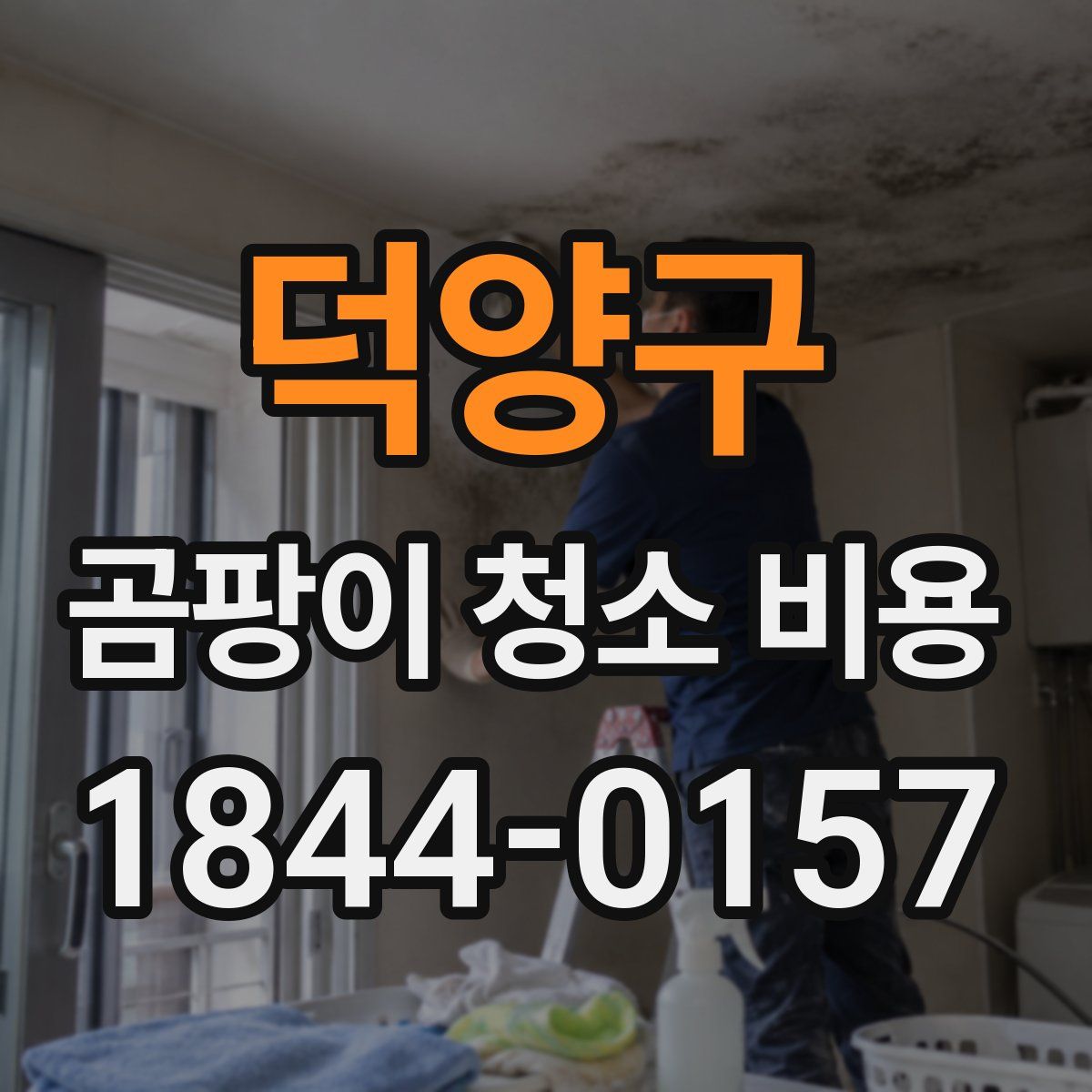 덕양구 곰팡이 청소 비용