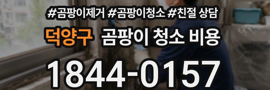 덕양구 곰팡이 청소 비용