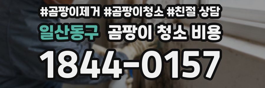 일산동구 곰팡이 청소 비용