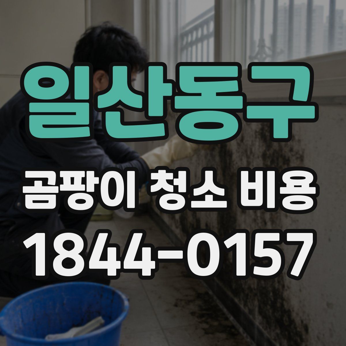 일산동구 곰팡이 청소 비용
