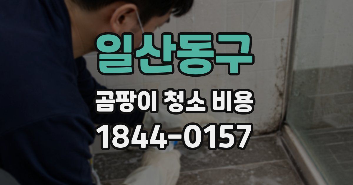 일산동구 곰팡이 청소 비용
