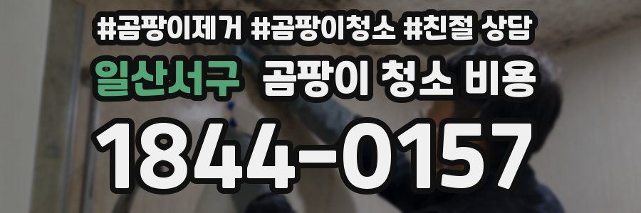 일산서구 곰팡이 청소 비용