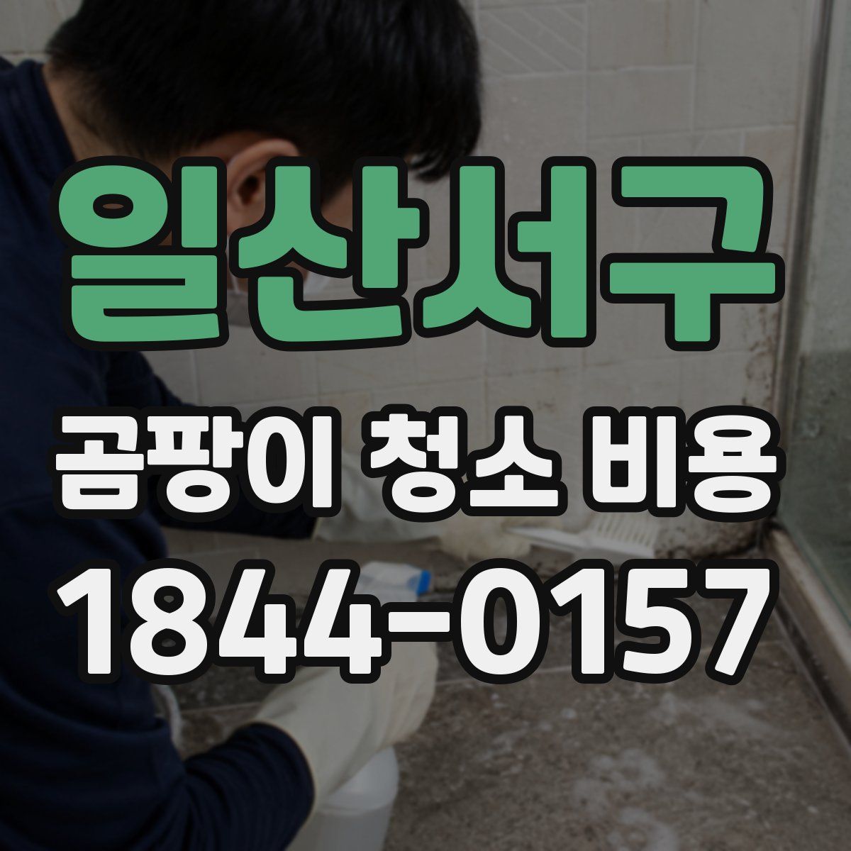 일산서구 곰팡이 청소 비용