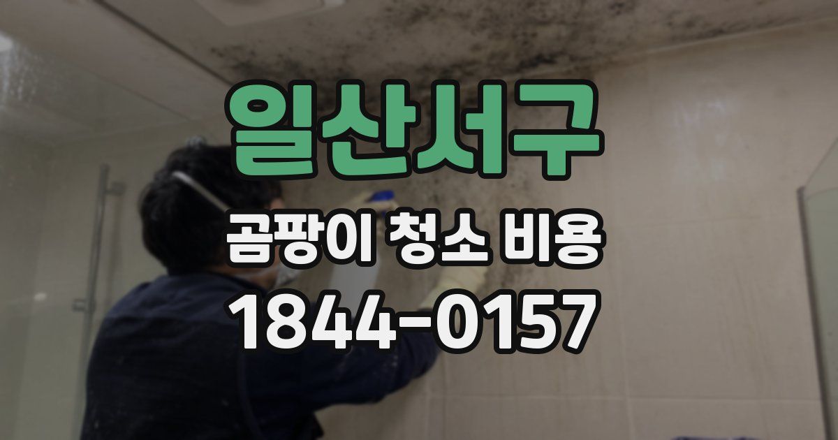 일산서구 곰팡이 청소 비용