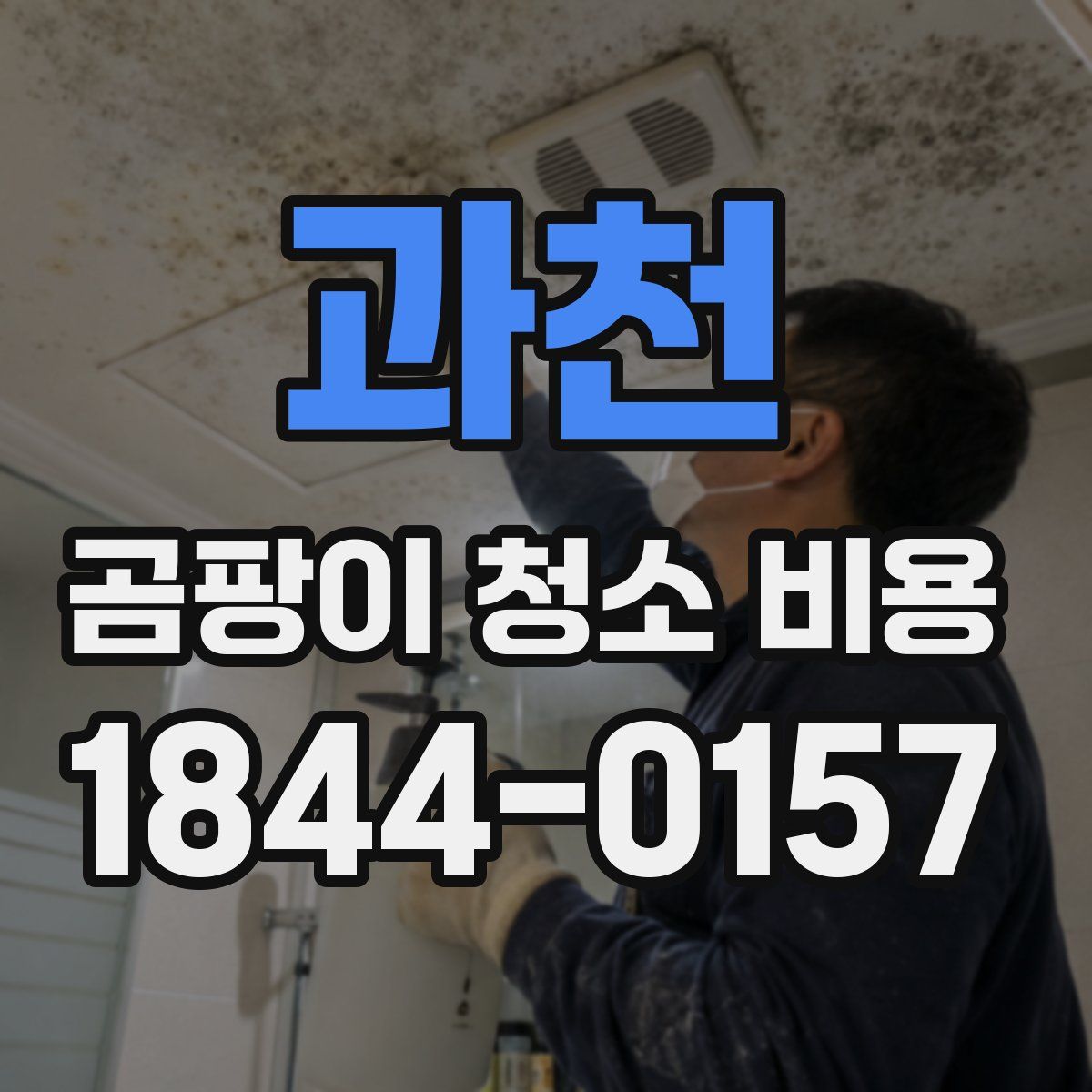 과천 곰팡이 청소 비용