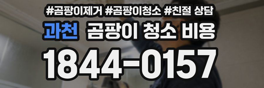 과천 곰팡이 청소 비용