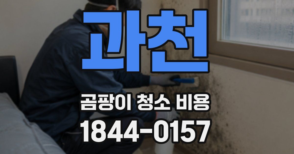과천 곰팡이 청소 비용