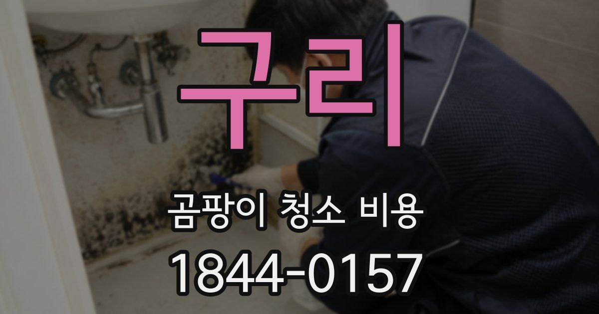 구리 곰팡이 청소 비용