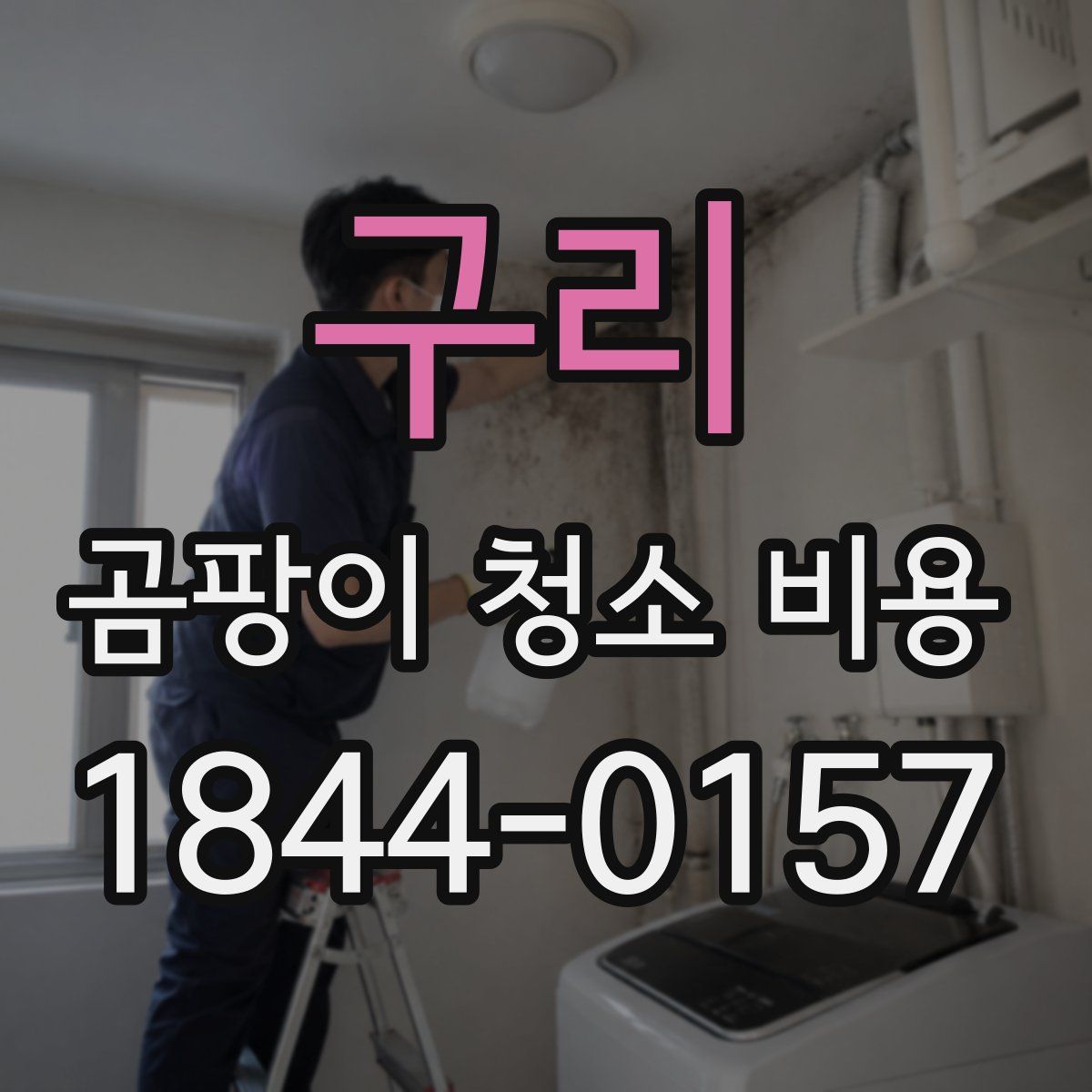 구리 곰팡이 청소 비용