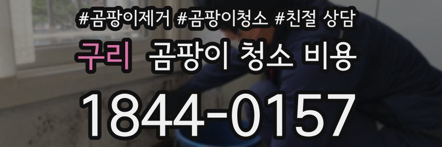 구리 곰팡이 청소 비용