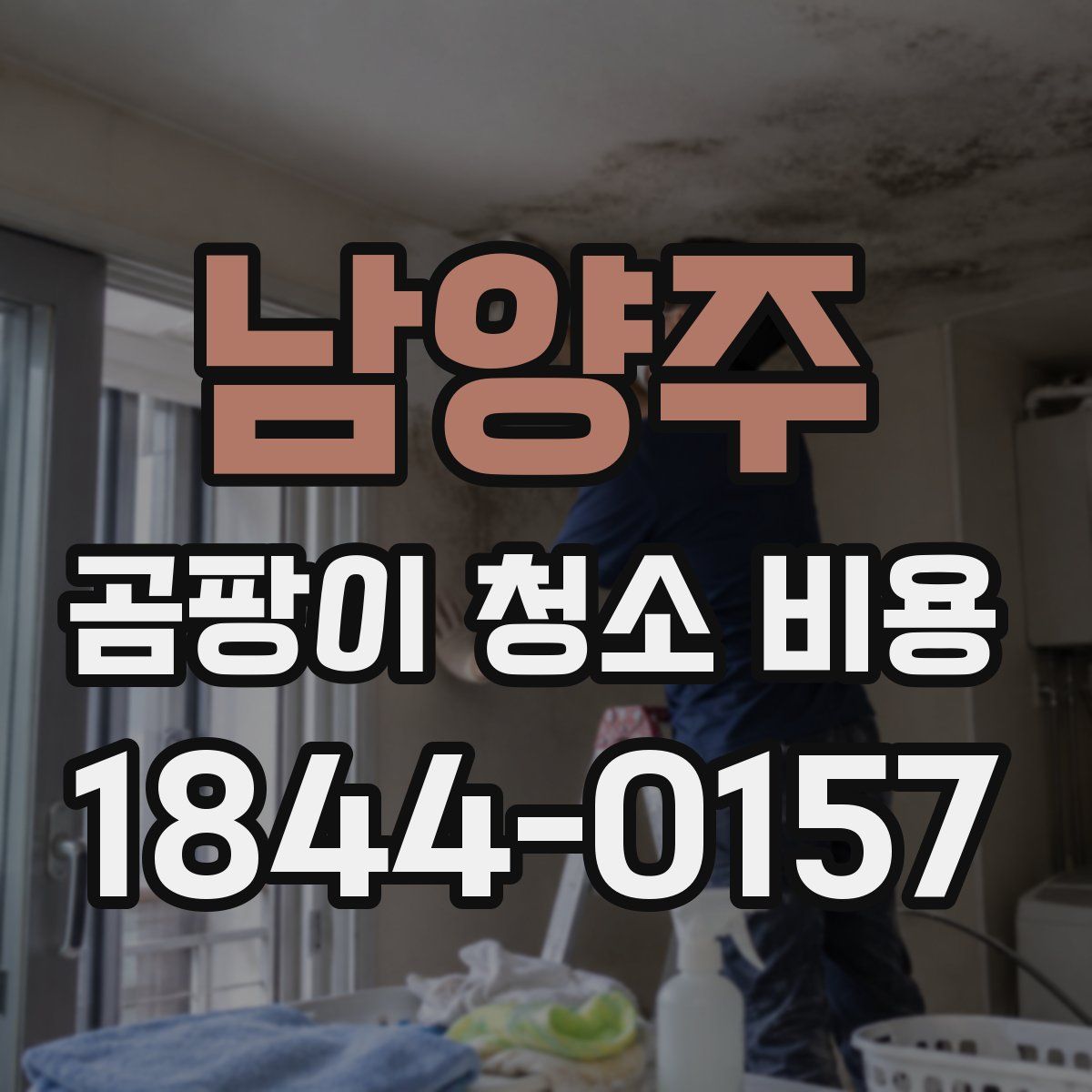 남양주 곰팡이 청소 비용