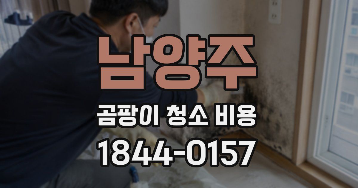 남양주 곰팡이 청소 비용