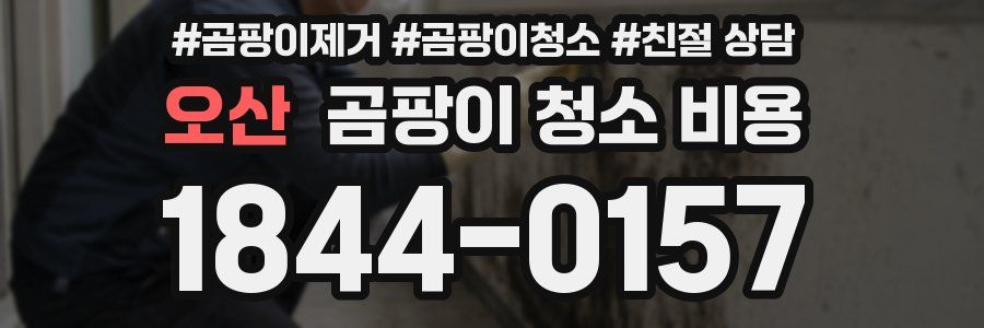 오산 곰팡이 청소 비용