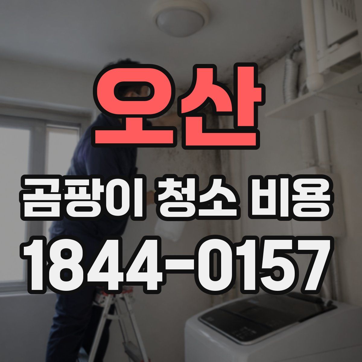 오산 곰팡이 청소 비용