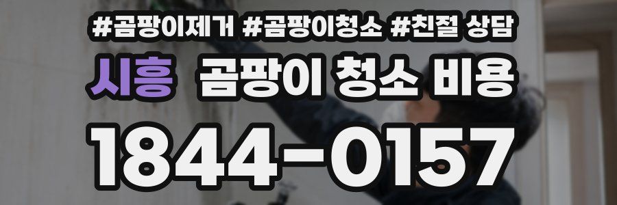 시흥 곰팡이 청소 비용